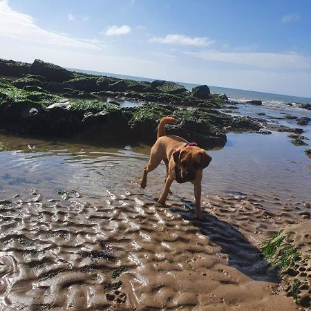 Beautiful Apartment 2 Mins To The Beach St Leonards-on-Sea المظهر الخارجي الصورة